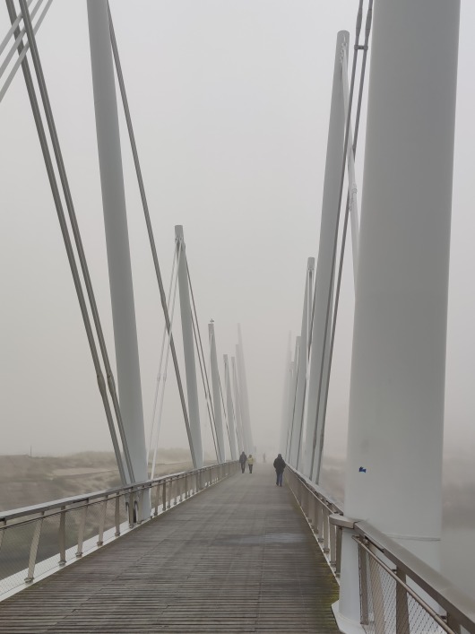 foggy_bridge_2025_01_13.jpg