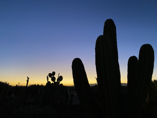 karoo_sunrise_2026_04_12.jpg